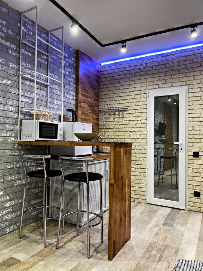 Loft_apartment Apartament Kamieniec Podolski