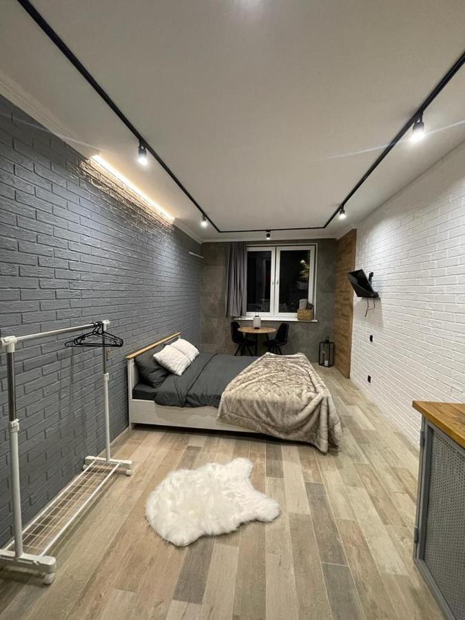 Loft_apartment Kamieniec Podolski